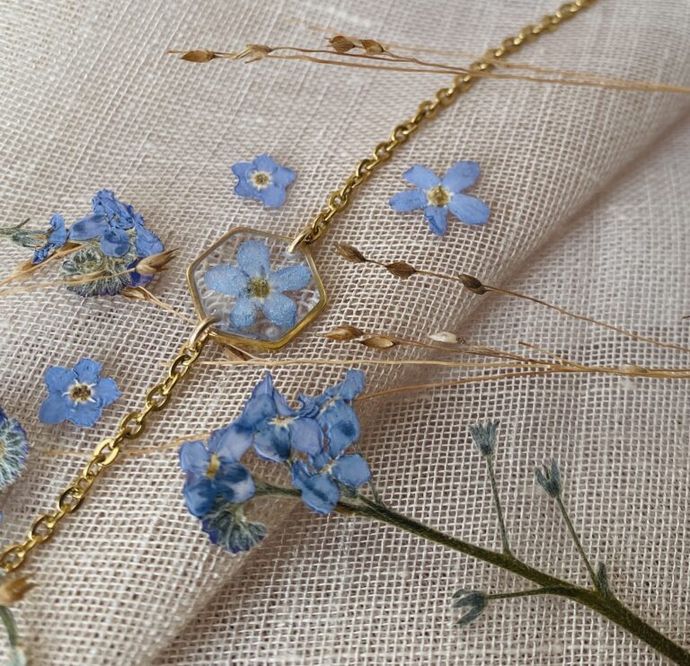 Myosotis