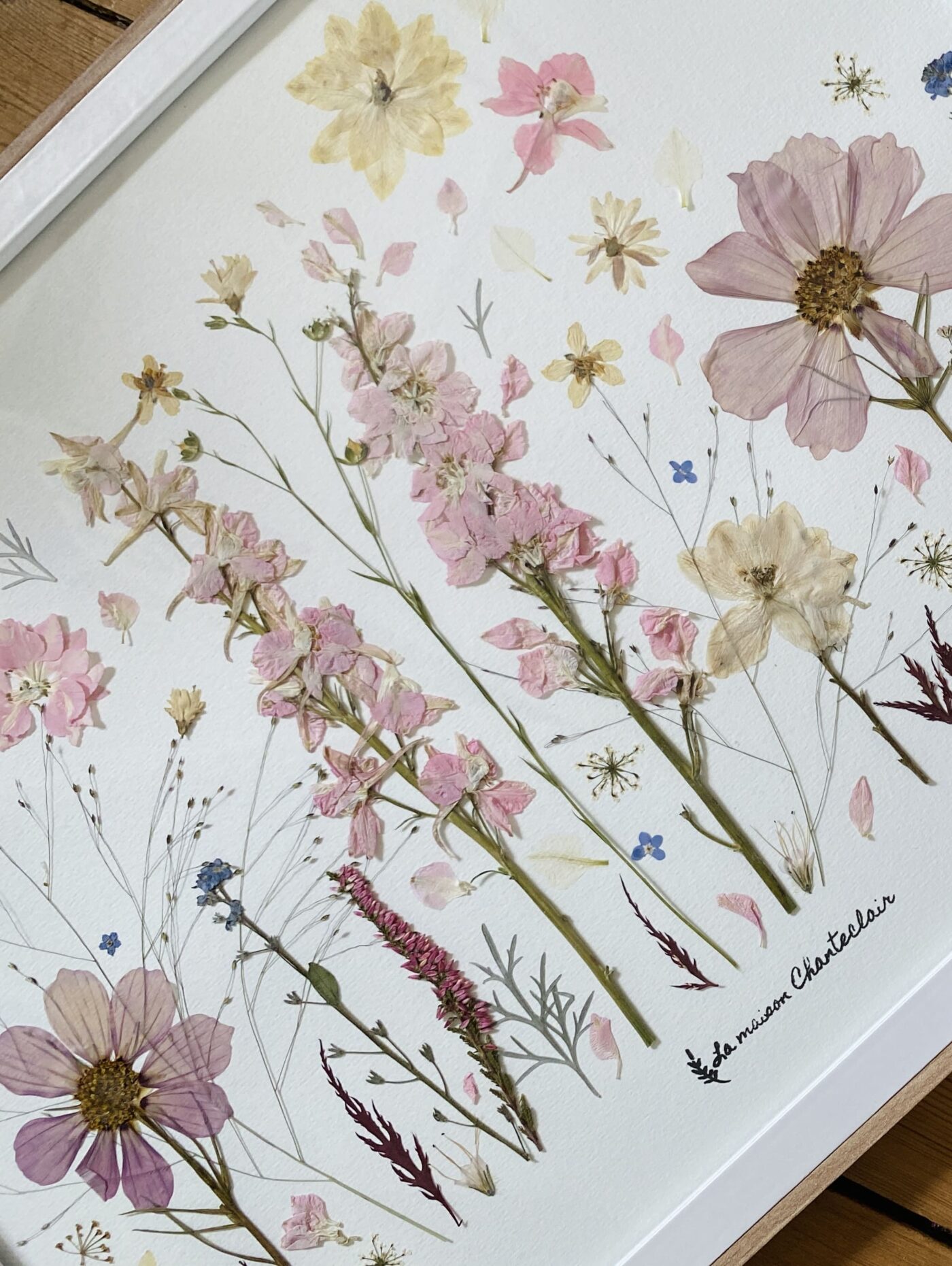 Herbier fleuri