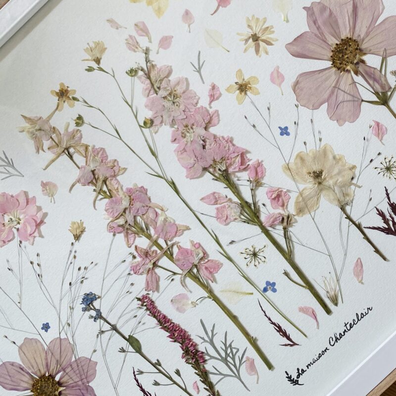 Herbier fleuri