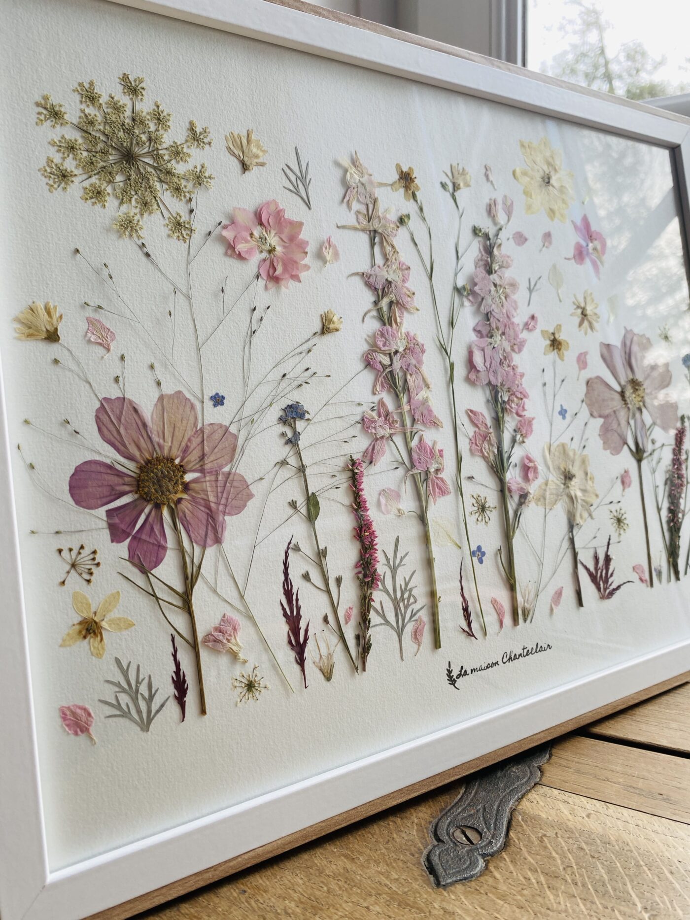 herbier fleuri