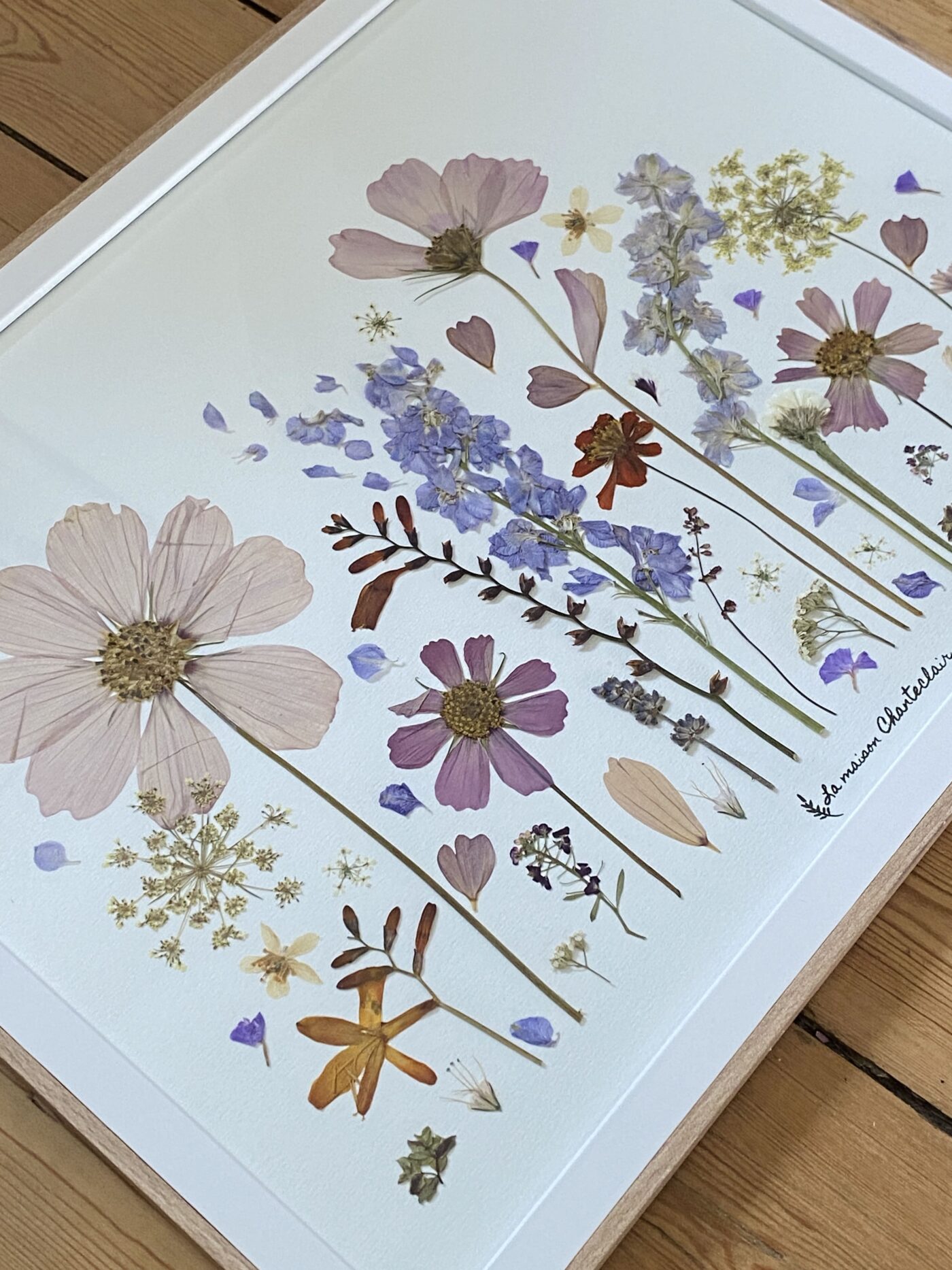 Herbier fleurs naturelles