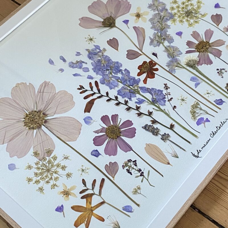 Herbier fleurs naturelles
