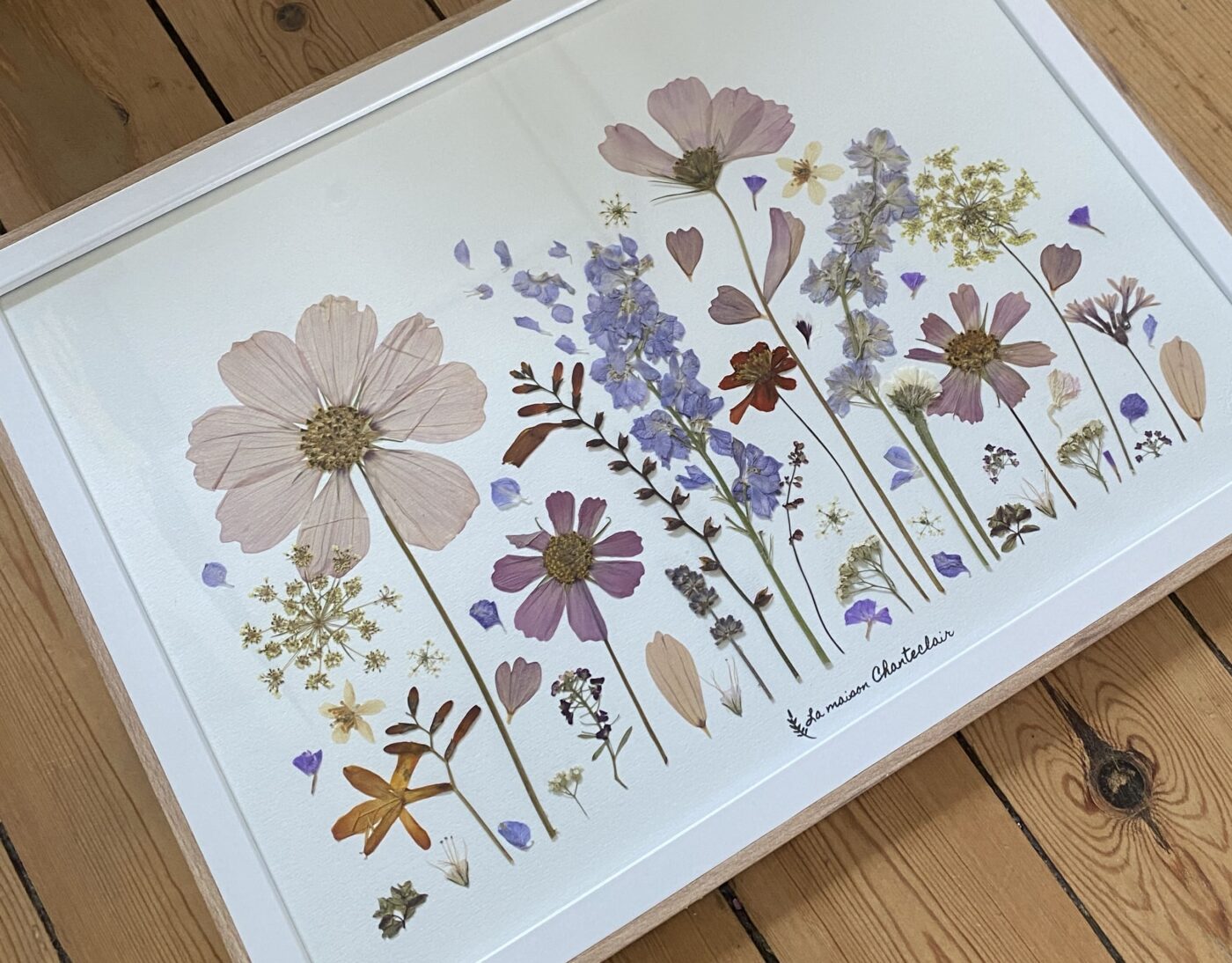 herbier