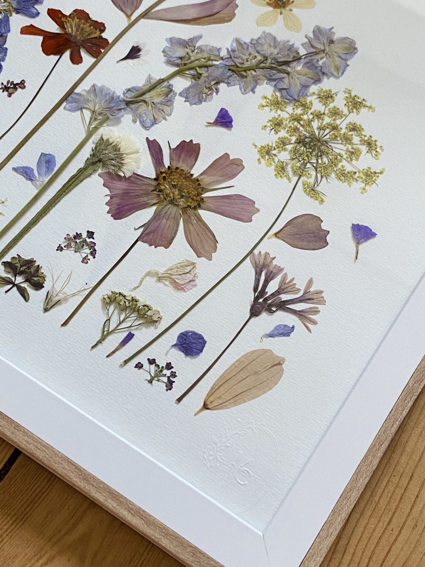 herbier unique
