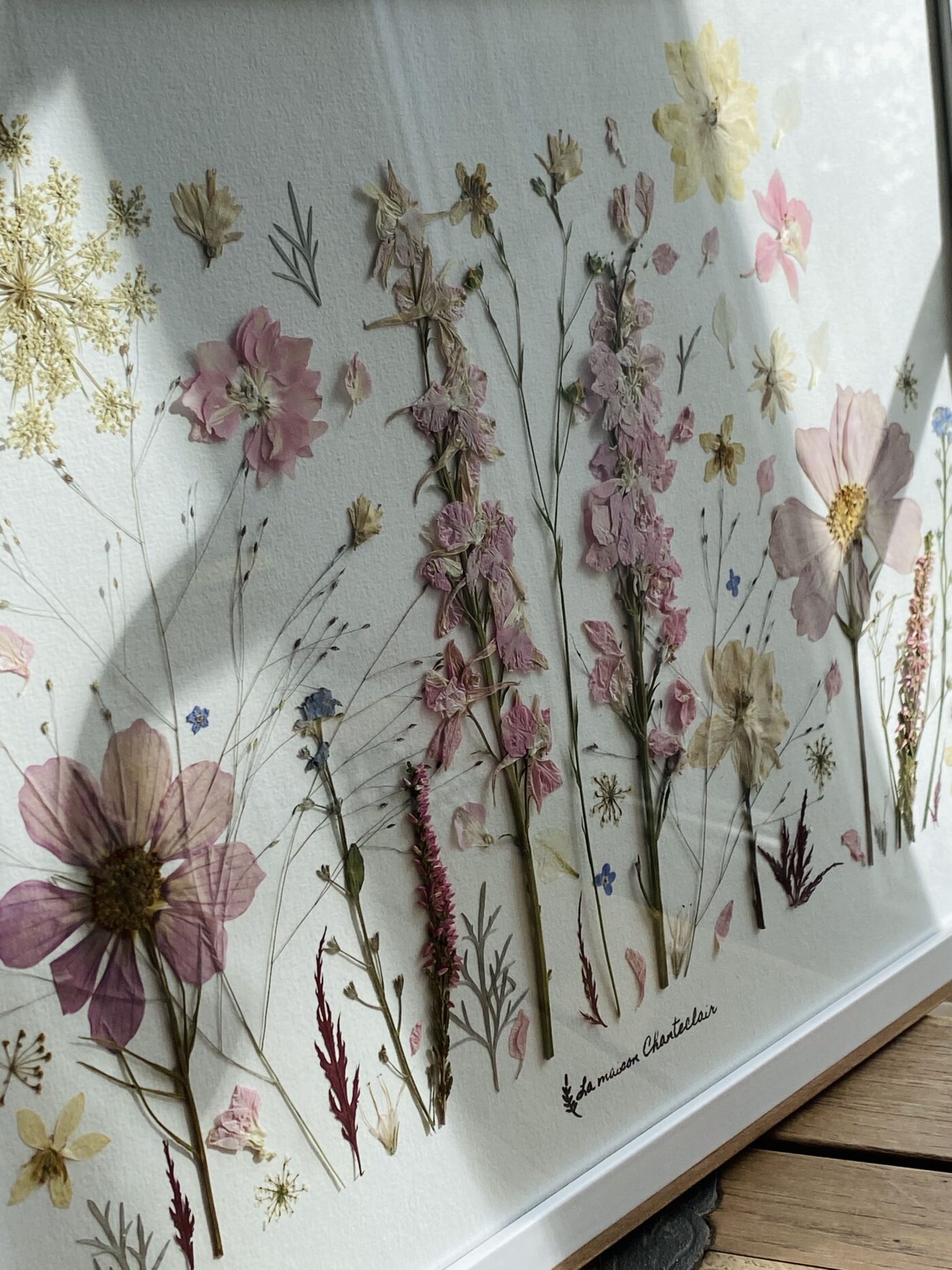 herbier fleuri